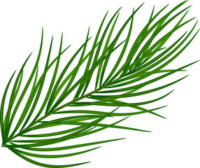 Green pine branches, close-up. Christmas decor and garlands. New Year. Holiday decor. Illustration, on transparent, png.