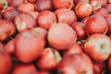Äpfel
