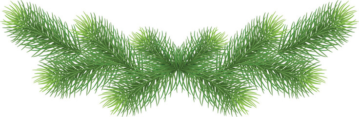 Green pine branches, close-up. Christmas decor and garlands. New Year. Holiday decor. Illustration, on transparent, png. - obrazy, fototapety, plakaty