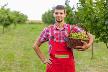 Caucasian man farmer shows good harvest of raw hazelnuts holding a full basket in hands in garden....