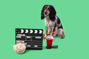 Cute cocker spaniel dog with bowl of popcorn, soda, clapperboard and 3D glasses sitting on green...