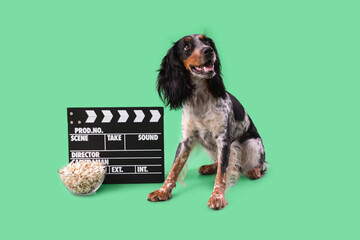 Cute cocker spaniel dog with bowl of popcorn and clapperboard sitting on green background