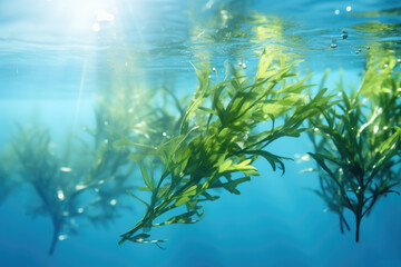 Fototapeta na wymiar Picture showing bunch of green plants floating in water. Perfect for nature-themed designs and projects