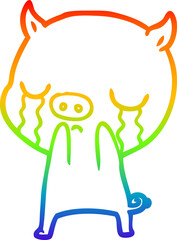 rainbow gradient line drawing of a cartoon pig crying