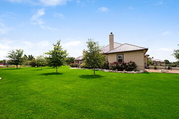 a back yard with a green lawn 