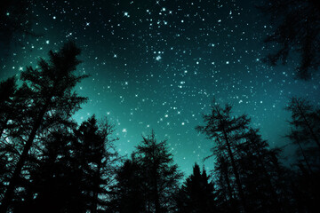 Naklejka premium Silhouetted White Trees Against A Starry Green Night