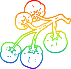 rainbow gradient line drawing of a cartoon tomatoes on vine