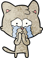 cartoon cat