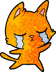 crying cartoon cat