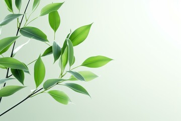 Fototapeta na wymiar delicate green foliage on clean background. Generative AI