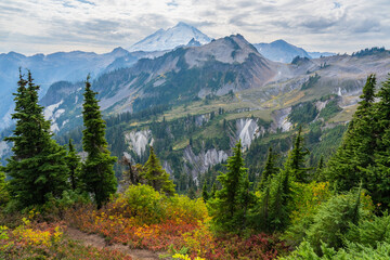 Fall Colors in Mt. Baker