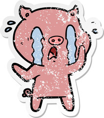 distressed sticker of a crying pig cartoon