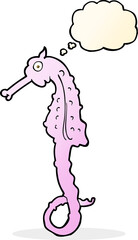 cartoon sea horse with thought bubble
