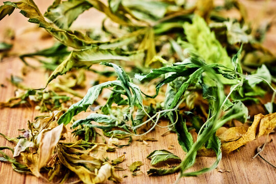 some natural dried cannabis leaves lie on a wooden board marijuana for relaxation and stress relief
