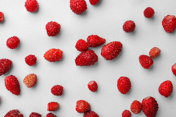 Many fresh wild strawberries on white background, flat lay