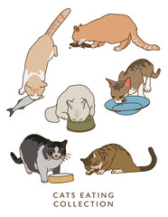 Fototapeta premium Cats Eating - Illustrations in Color! 
