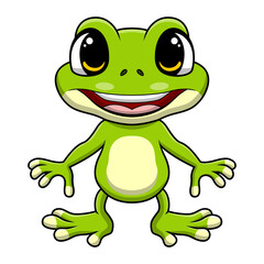 Cute frog cartoon on white background
