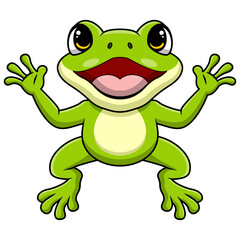 Cute frog cartoon on white background