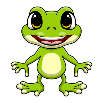 Cute frog cartoon on white background
