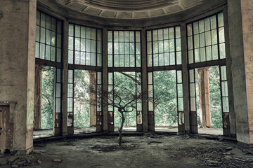 Abandoned soviet spa resort (sanatorium) Metallurg,  in Tskaltubo, Georgia. Dead tree in the centre of hall   - obrazy, fototapety, plakaty