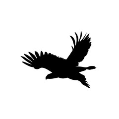 Bird vector png