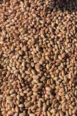 Pistachio with shell ready to eat