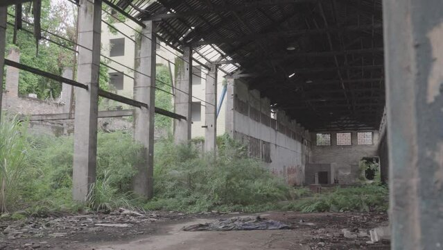Looking inside from the windows of the abandoned factory