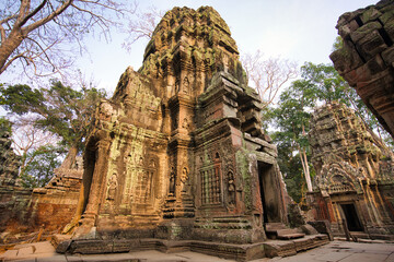 Naklejka premium 遺跡が長い年月をかけて木に侵食されている寺院 カンボジア・タップローム遺跡 Ta Prohm Temple, Cambodia