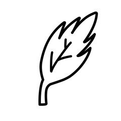 Leaf line icon