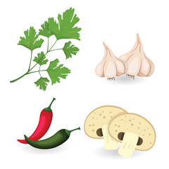 Illustrator of spice and herbs