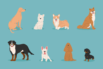 Dogs collection. Vector illustration of funny cartoon different breeds dogs in trendy flat style. French Bulldog, Rottweiler, Dachshund, Shiba, Labrador. Cute small and big pets.
