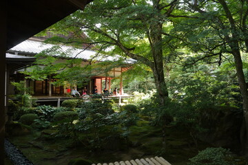 日本の庭園
