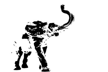 silhouette of elephant model stand isolated on white background