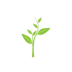 Fototapeta na wymiar Growing tree logo icon