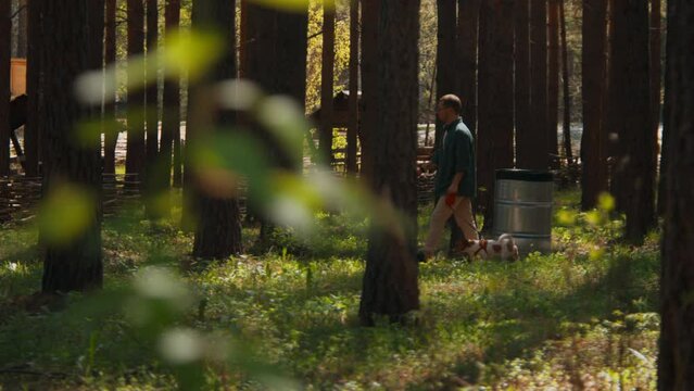 Man walks with dog in park on summer day. Stock footage. Man walks dog on leash in woods on sunny summer day. Man walks with Jack Russell terrier at recreation center in woods