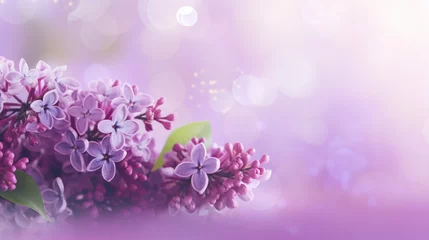Poster Lilac flower on a soft pink background © tashechka