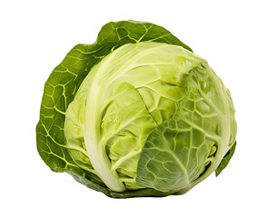 Fototapeta premium Cabbage isolated on transparent background