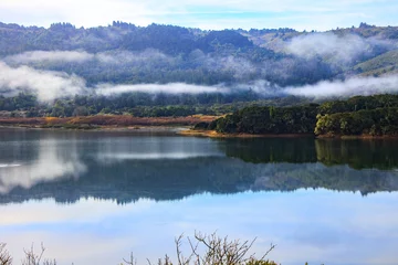 San Mateo watershed early morning fog © benderphotoo