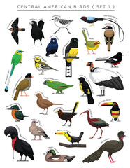 Central American Birds Set Cartoon Vector Character 1 - obrazy, fototapety, plakaty