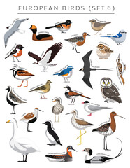 European Birds Set Cartoon Vector Character 6