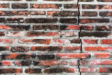 The red brown brick wall serves as the background.