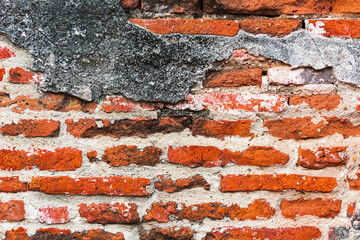 The red brown brick wall serves as the background.