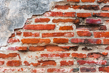 The red brown brick wall serves as the background.