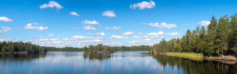 Fototapeta na wymiar forest lake in summer