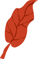 autumn leaf hand draw