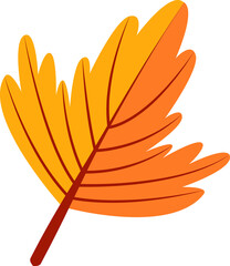 autumn leaf hand draw
