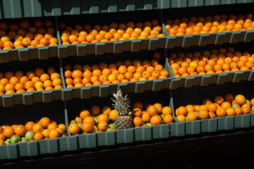 Oranges background. Fresh oranges variety grown in the shop. Oranges for juice, strudel,