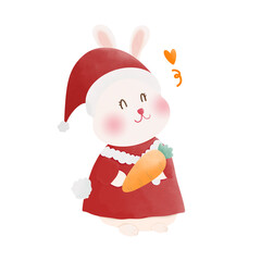cute rabbit in Christmas 