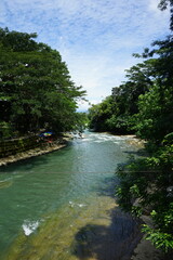 Fototapeta na wymiar river in the jungle of bukit lawang sumatra