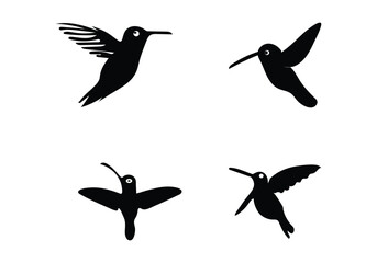 New minimal style Anna's Hummingbird icon illustration design